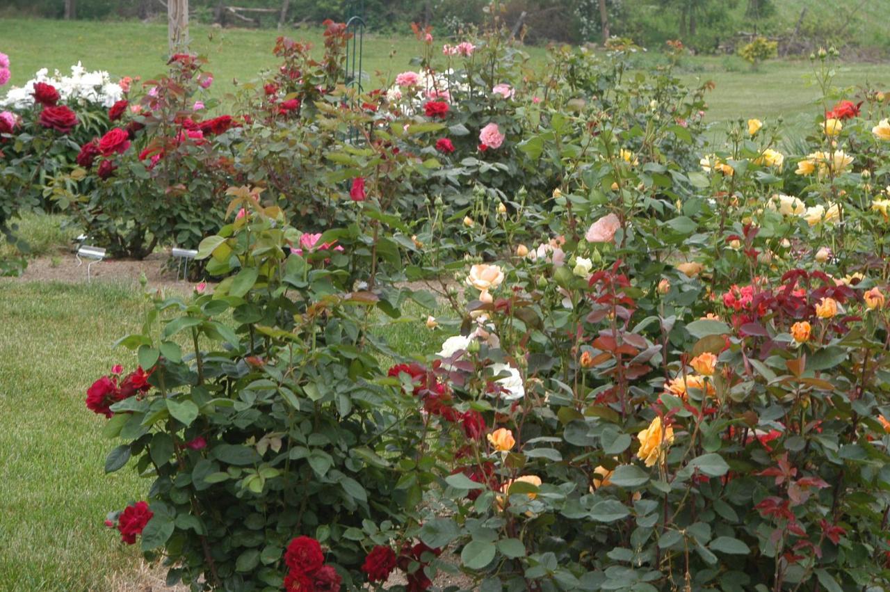 Annville Inn Bed & Breakfast מראה חיצוני תמונה