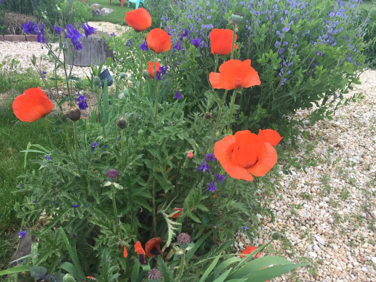 Annville Inn Bed & Breakfast מראה חיצוני תמונה