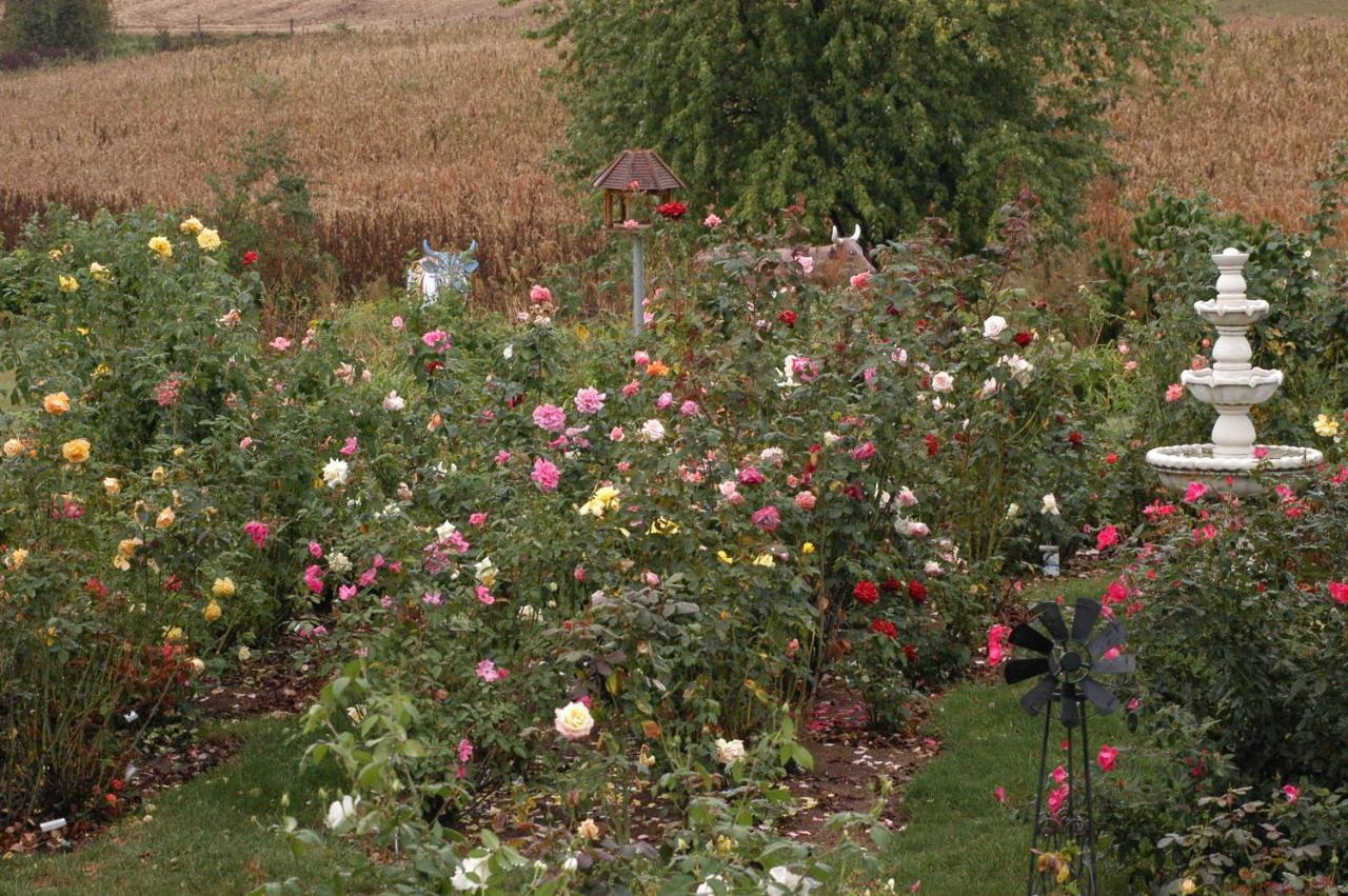 Annville Inn Bed & Breakfast מראה חיצוני תמונה