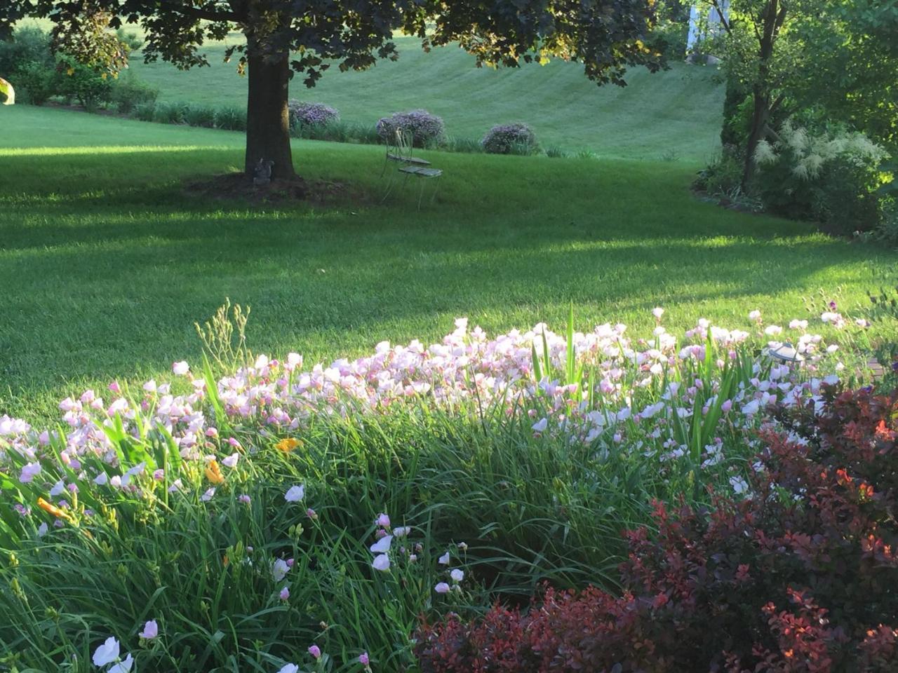 Annville Inn Bed & Breakfast מראה חיצוני תמונה