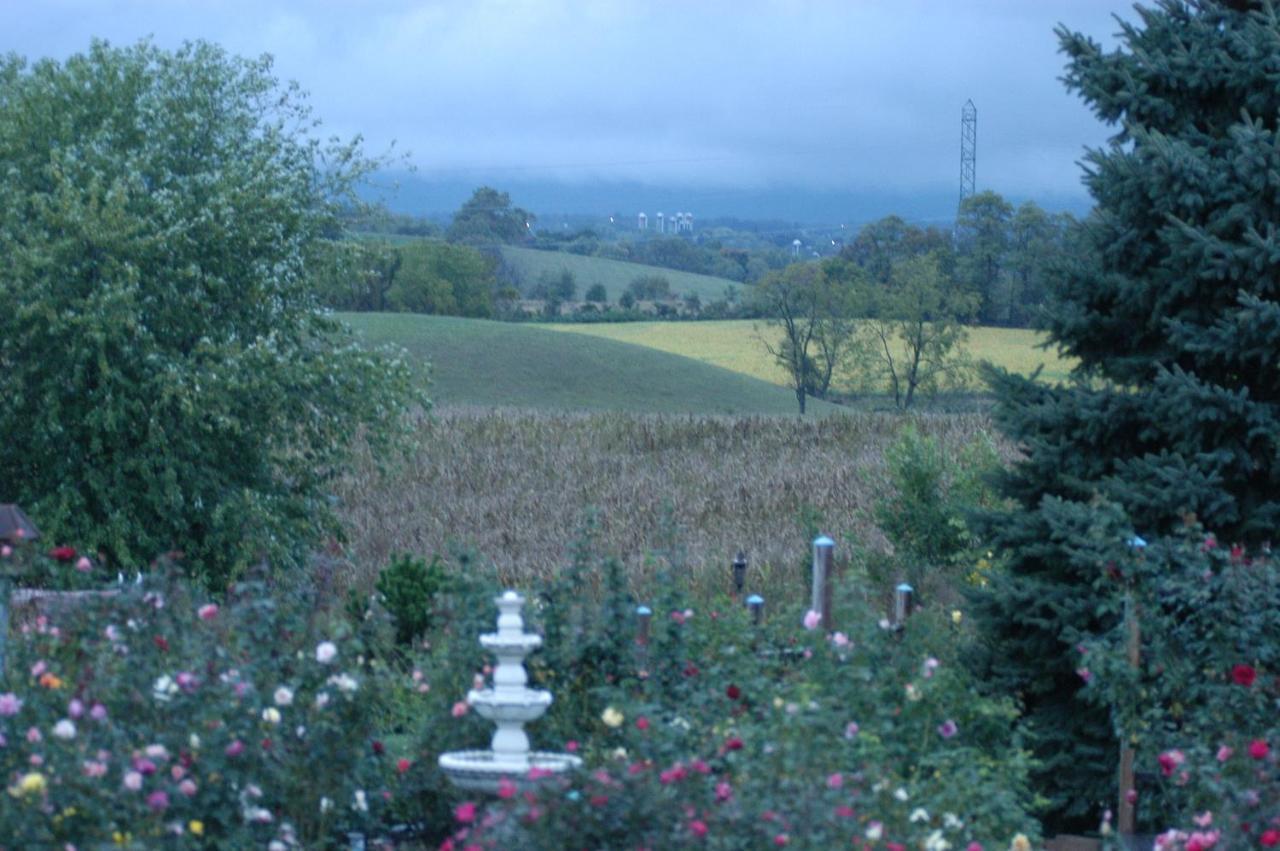 Annville Inn Bed & Breakfast מראה חיצוני תמונה